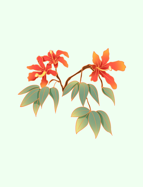 春天春季木棉花朵花瓣
